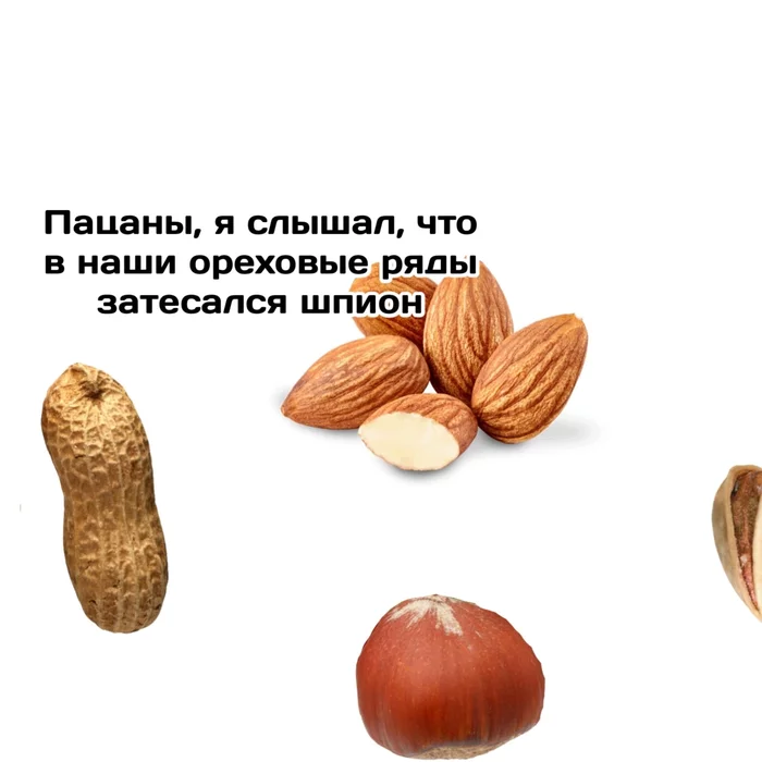 Nuts - Pavuchi comics Quasar, Comics, Nuts, Almond, Pistachios, Hazelnut, Peanut, Longpost