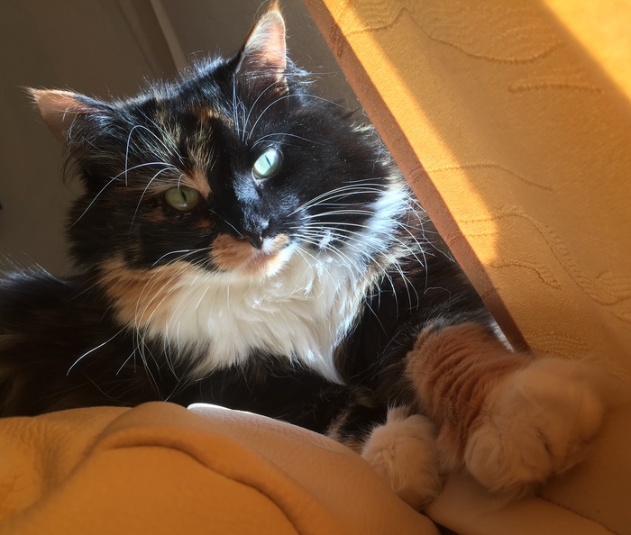 ����� ��������� ����� ����� ����� � ����� �������.�� �.��������