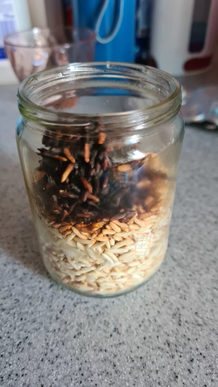 Rice groats in the microwave in 90 seconds - My, Or not food, Rice, Burnt, Longpost, Food