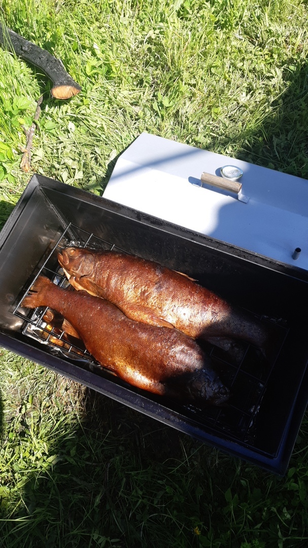 We smoke fish. - My, Hot smoking, Bloater, Smokehouse, Yummy, Longpost