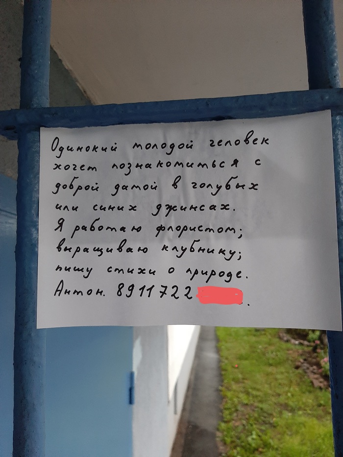 ����� ���� ������ ����