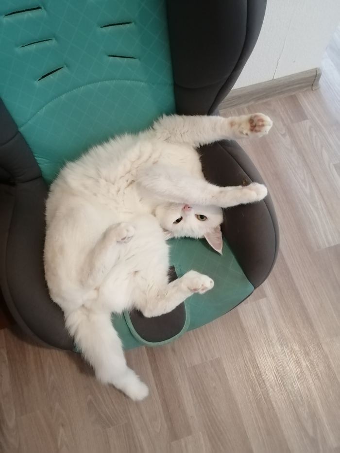 ���� �� ����