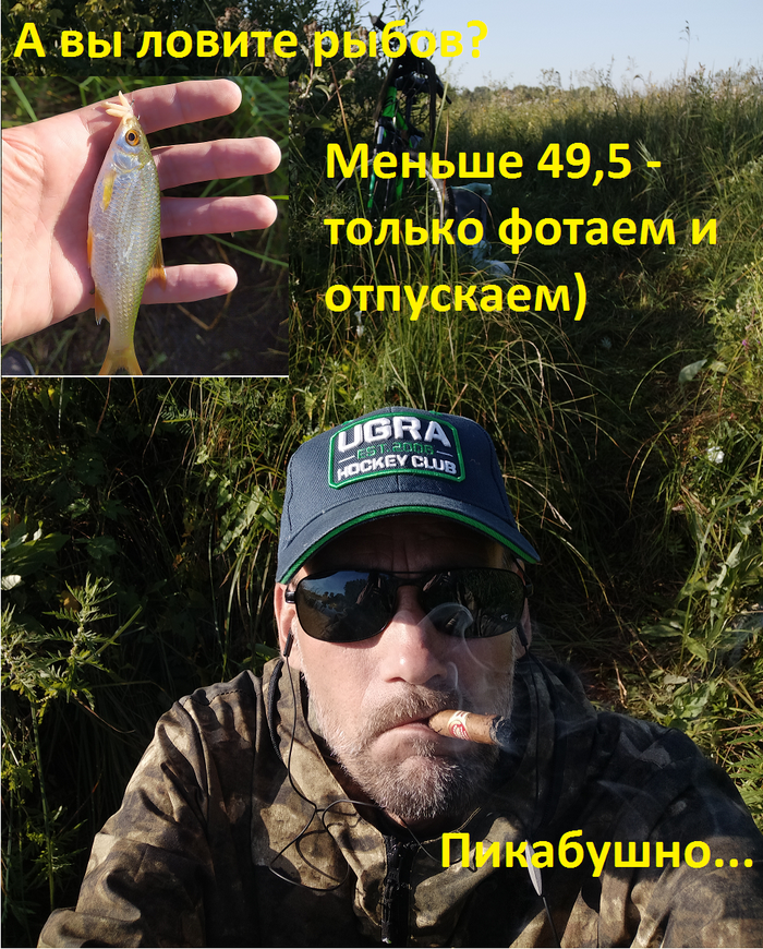 Рыбов, рыбов... Я тоже захотел их