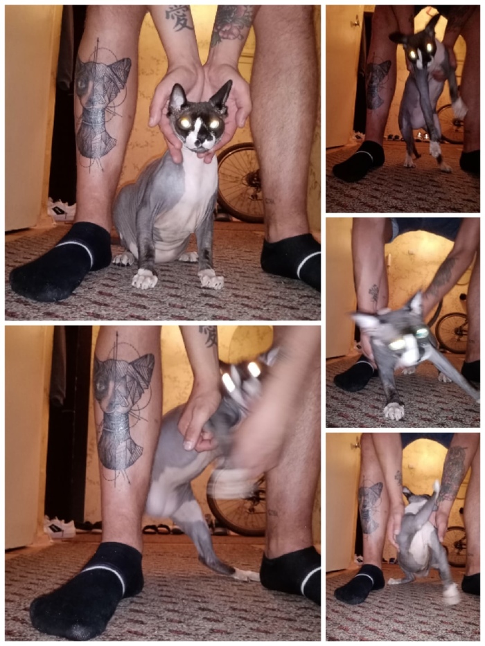   )