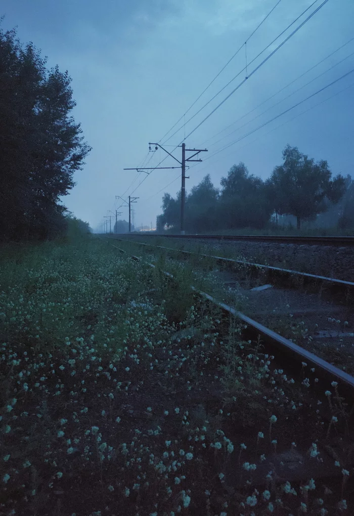 foggy twilight - My, Mobile photography, Xiaomi Mi9, Fog, dust, Atmospheric, The photo, Landscape, Omsk, , Railway, Russian Railways