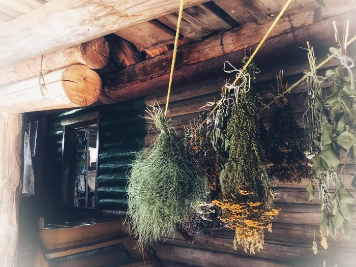Summer in the village. Village Postcards - My, Village, Summer, Atmosphere, Longpost