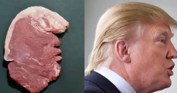          ,  , 