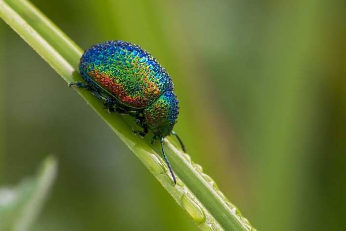 � ����������