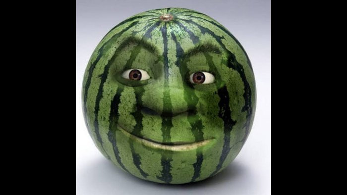 Joke #3 - Black humor, Humor, Watermelon, Interethnic relations, Interethnic conflict, LGBT, Joke