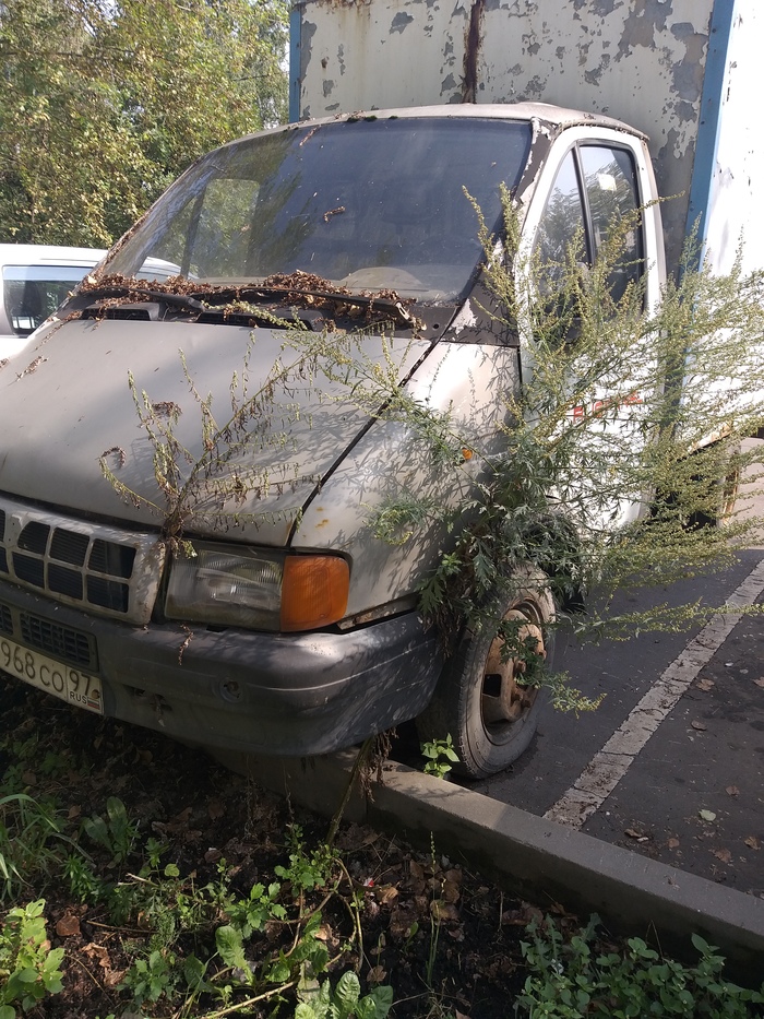 Брошенные авто в россии где они
