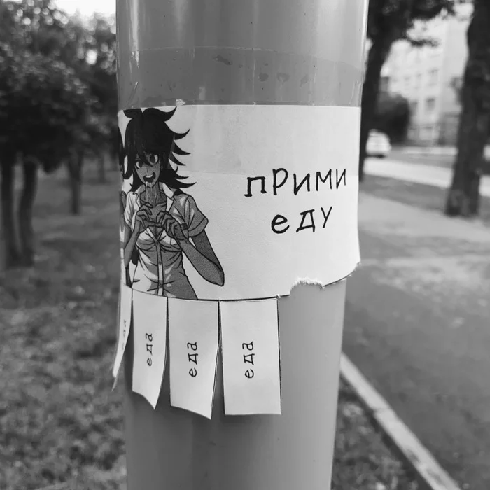 Weird announcement :) - My, Russia, Novosibirsk, Photographer, Black and white photo, Humor, Announcement, Anime