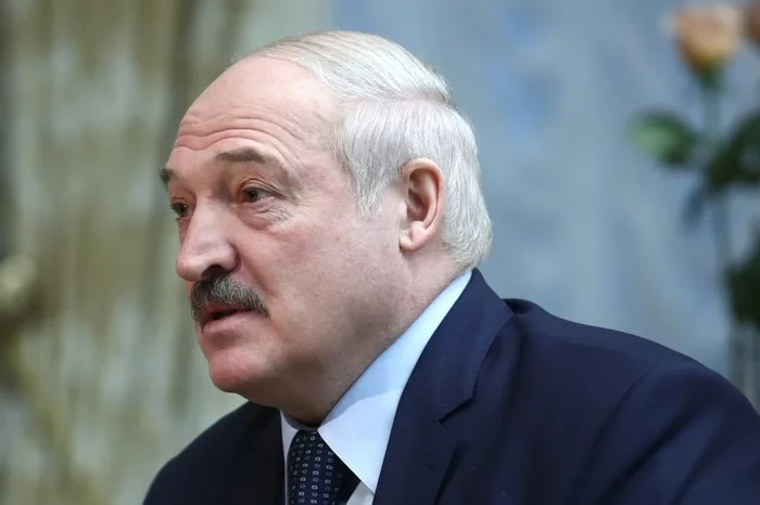 Lukashenko: Protasevich was detained in Belarus on the order of the West - My, Novoti, TASS, Politics, Alexander Lukashenko, Republic of Belarus, Roman Protasevich