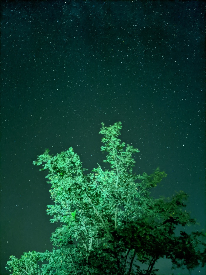 Звёздное небо