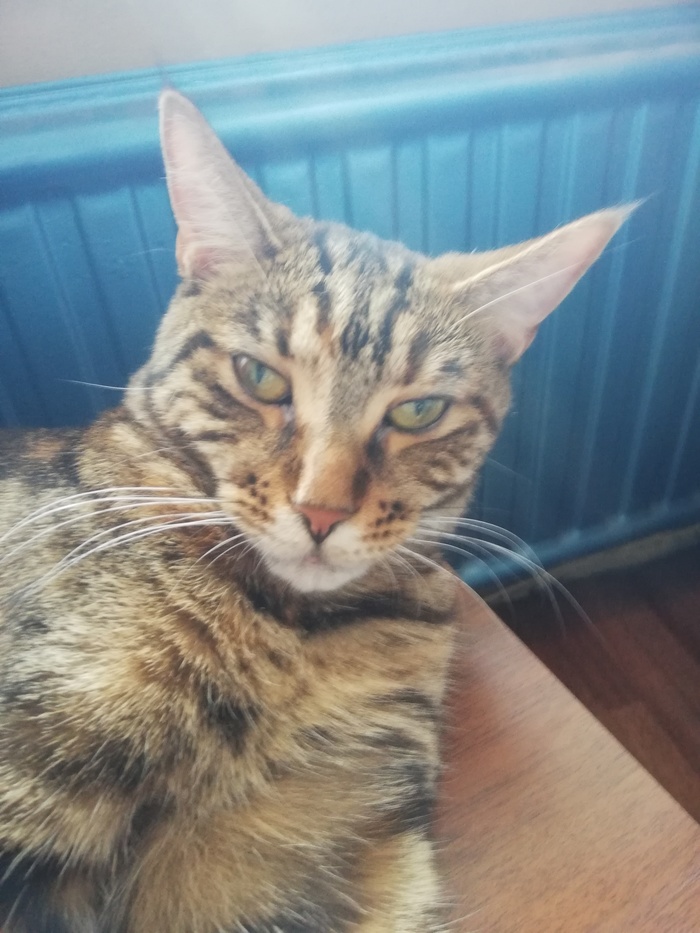 Связь с космосом потеряна