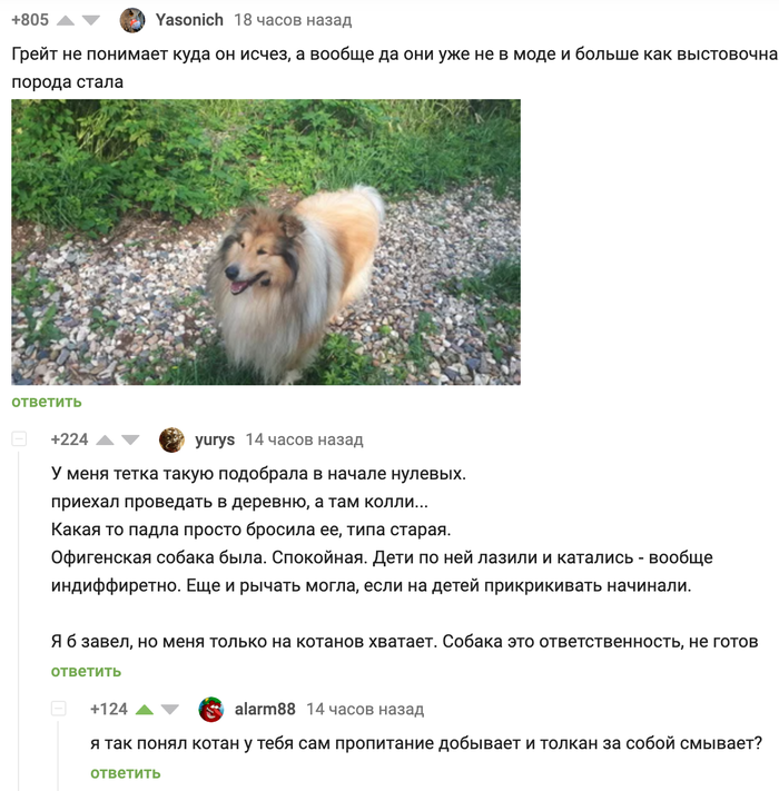 ����� ������� �������������� ���