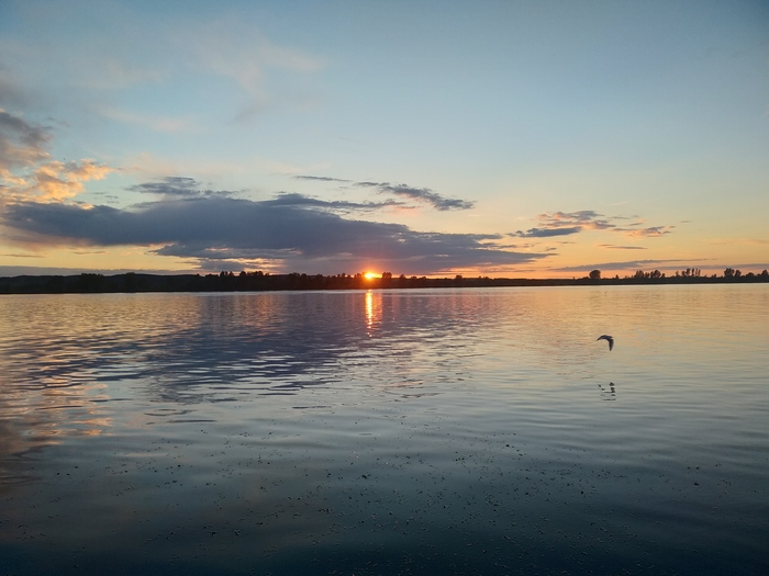 ������-���������. ������������� �����. ���������� ������������