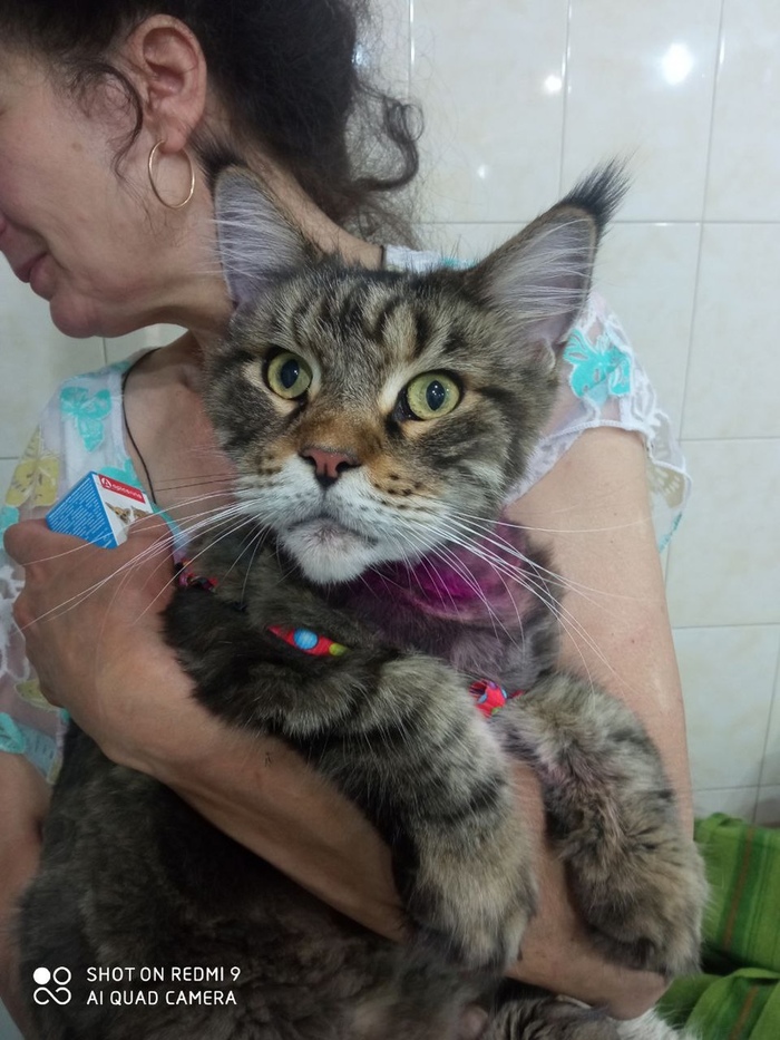 �������� ����������