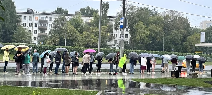 Nesherbourg umbrellas, the beauty of the queue is almost like in Japan) - My, Way home, Queue, Minibus