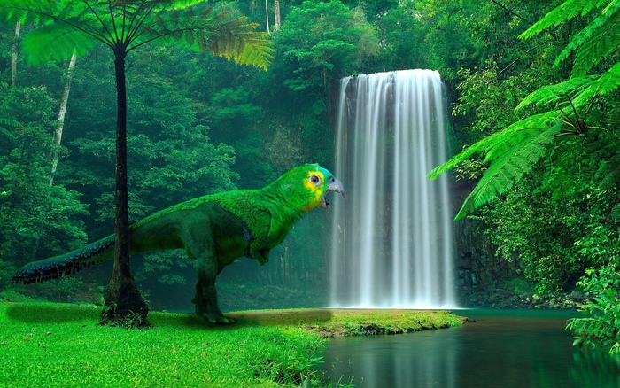 ����������� ����