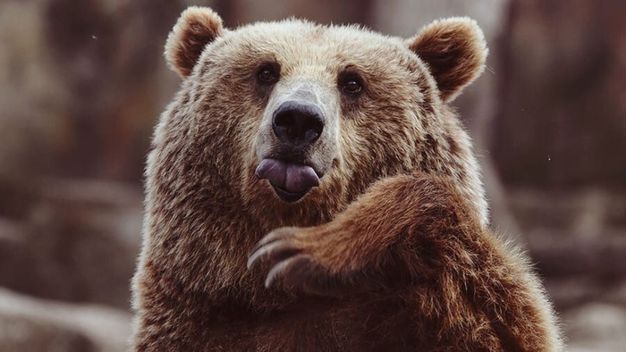 Фотопортрет