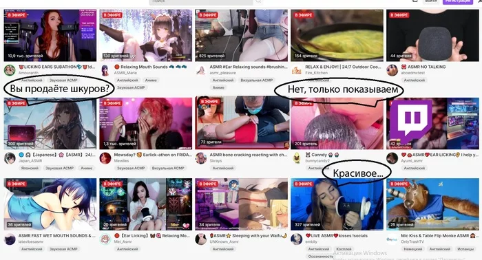 Вы продаёте шкуров? - Моё, Мемы, Вы продаете рыбов?, Twitchtv, Стрим