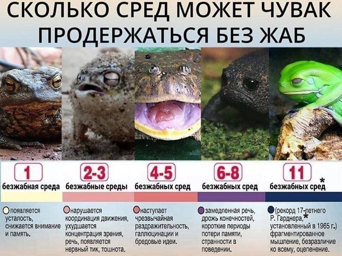 Держитесь, среда