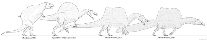 Spinosaurus: From fat sea cow to titanic newt. How has the appearance of the popular dinosaur changed in 100 years? - Dinosaurs, Paleontology, Spinosaurus, Animal book, Yandex Zen, Longpost