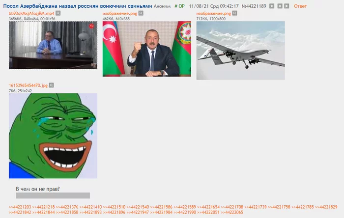 Response to the post Azerbaijani ex-diplomat called Russian pigs - Politics, Azerbaijan, Nationalism, Dvach, Reply to post