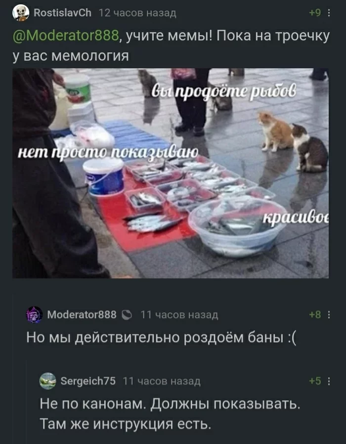 Caring pikabushniki instruct the young moderator on the true path ... - Comments, Comments on Peekaboo, Do you sell fish?, Memology, Moderator