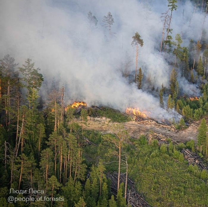 Greenpeace        , , 