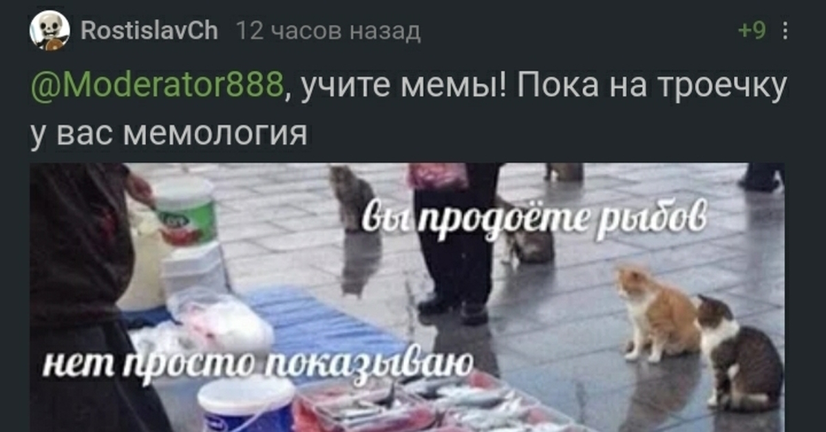 Просто показываю