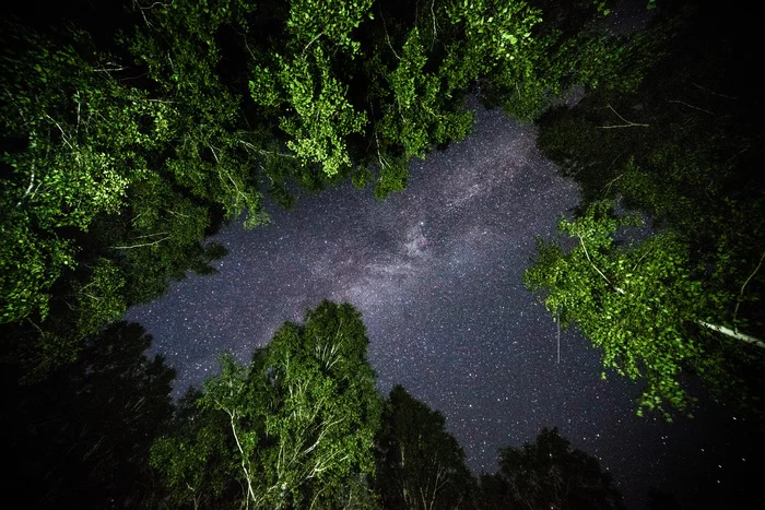 Some night sky outside the city - My, Milky Way, Astrophoto, Starry sky, Stars, Night shooting, Long exposure, Siberia, Space, Longpost