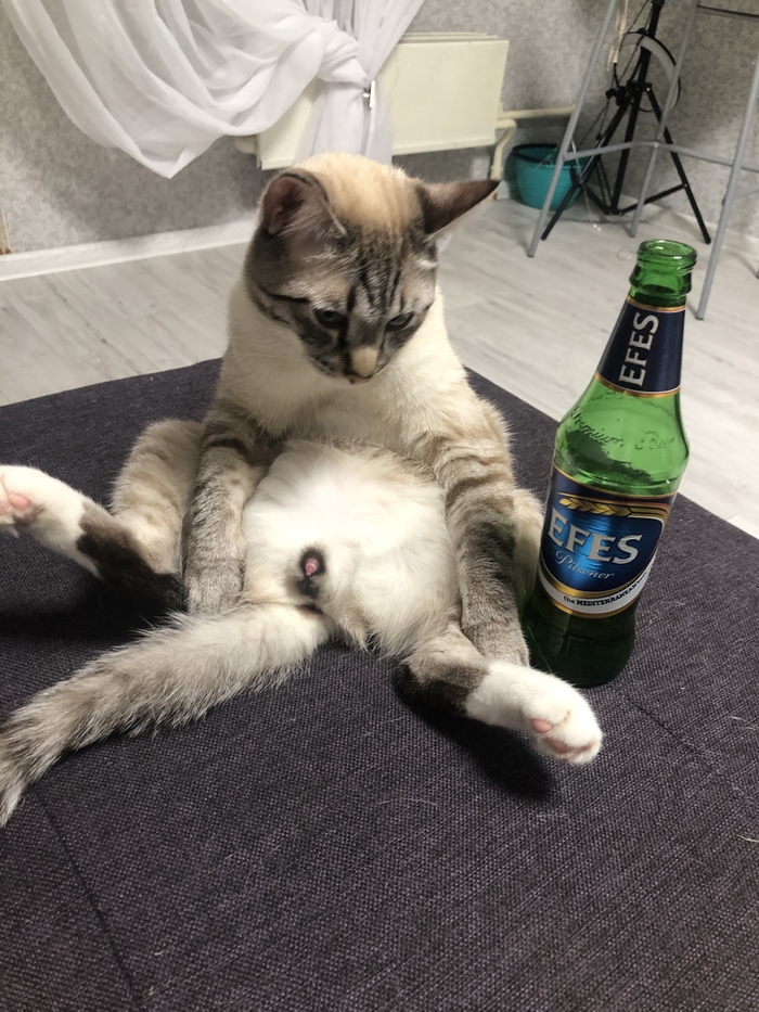 Мыслить как Джиган