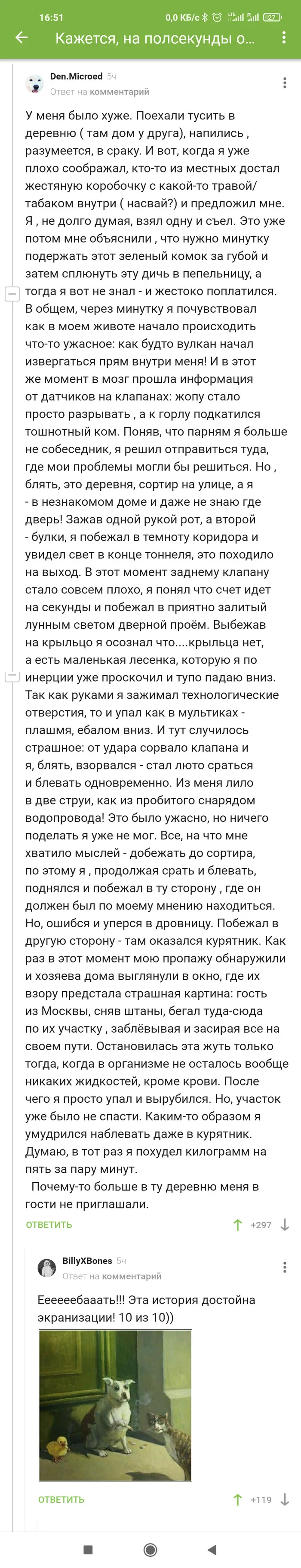 Комментарии. Приключения в деревне - Комментарии, Комментарии на Пикабу, Алкоголь, Курятник, Длиннопост