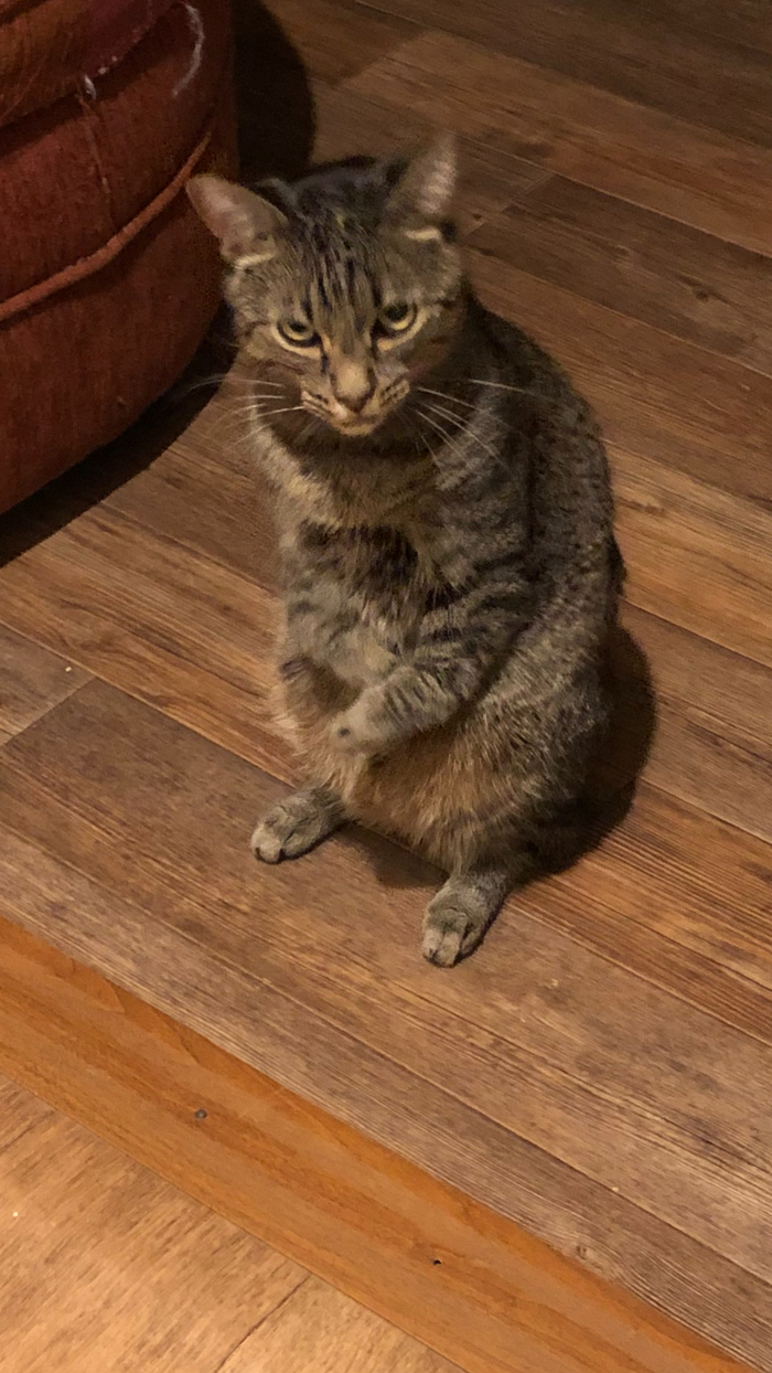 ������ �����)