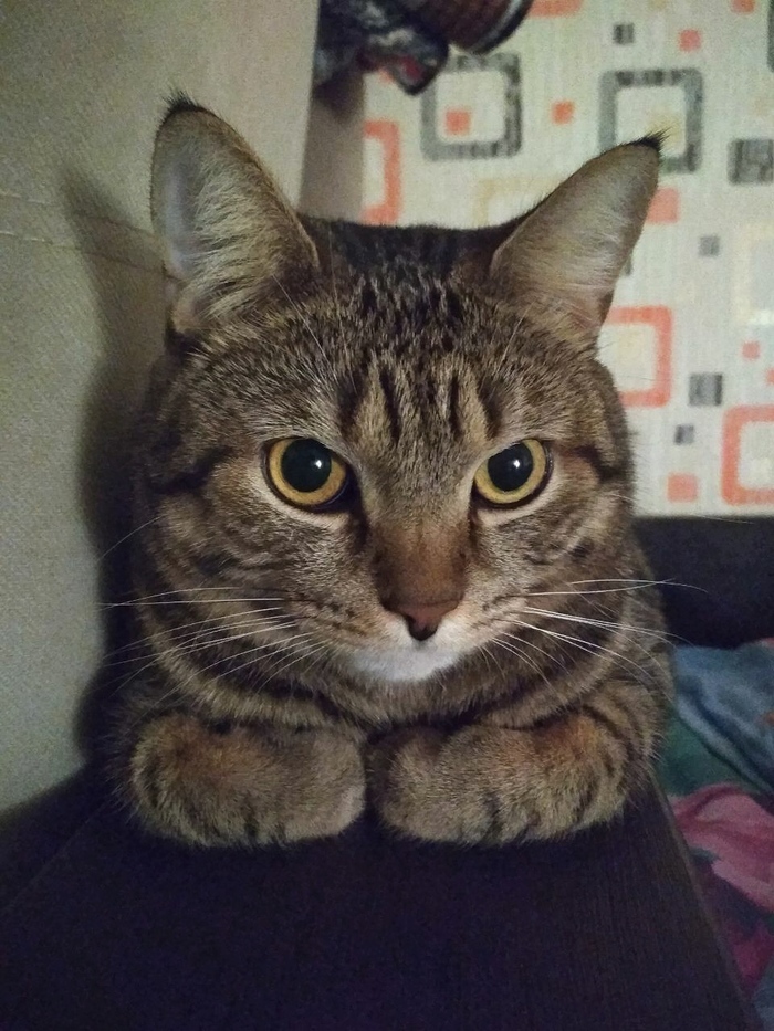 ���� ����� ������������ � ������...