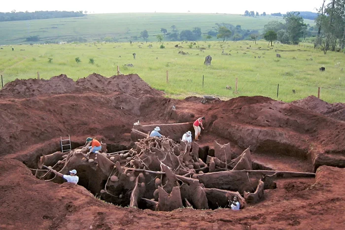 UK-sized underground termite city, rotting egg 'crater' and other incredible animal structures - Animals, Insects, Termitary, Dam, Nest, Animal book, Yandex Zen, Longpost