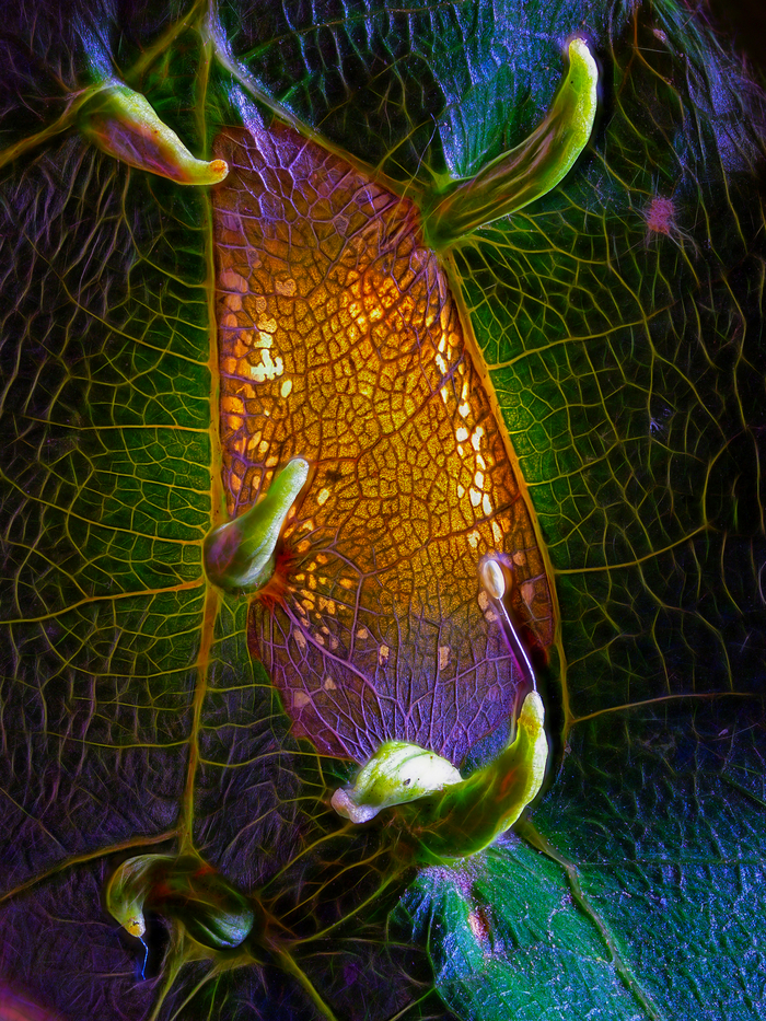 Тайная жизнь паразитов