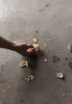   , , , 