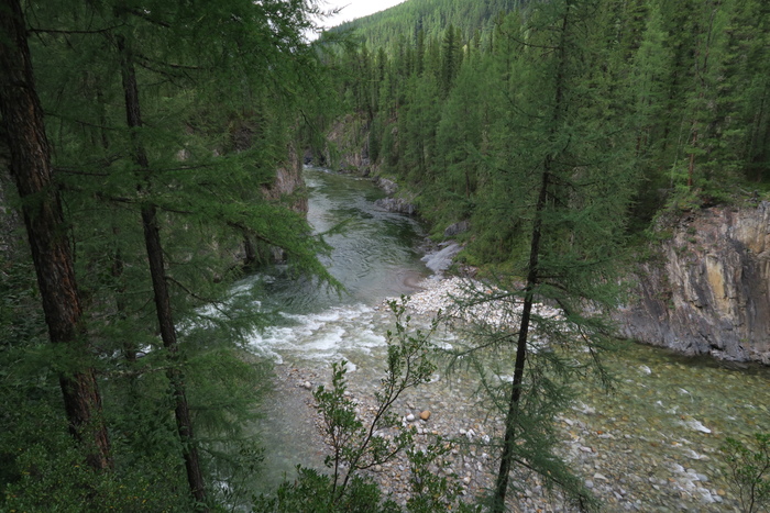 ПУТЕШЕСТВИЕ В ГУТАРУ И ПО ГУТАРЕ Тайга, Путешествие по России, Длиннопост ПУТЕШЕСТВИЕ В ГУТАРУ И ПО ГУТАРЕ Тайга, Путешествие по России, Длиннопост