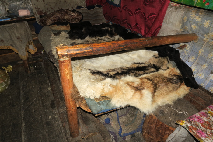 ПУТЕШЕСТВИЕ В ГУТАРУ И ПО ГУТАРЕ Тайга, Путешествие по России, Длиннопост ПУТЕШЕСТВИЕ В ГУТАРУ И ПО ГУТАРЕ Тайга, Путешествие по России, Длиннопост