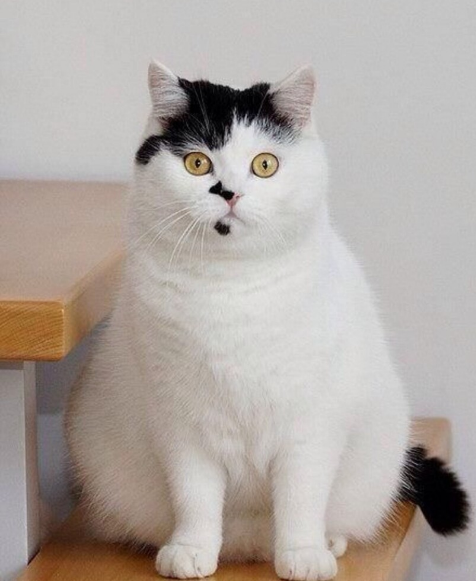 ��� ����?