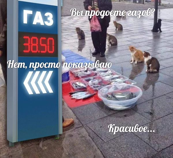 1628836814112780357.webp