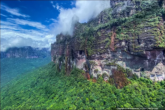 Вертолетная экскурсия за 2000$ на водопад Анхель в Венесуэле. Что за эти деньги можно увидеть и стоит ли увиденное того? Путешествия, Водопад, Венесуэла, Анхель, Яндекс Дзен, Видео, Длиннопост Вертолетная экскурсия за 2000$ на водопад Анхель в Венесуэле. Что за эти деньги можно увидеть и стоит ли увиденное того? Путешествия, Водопад, Венесуэла, Анхель, Яндекс Дзен, Видео, Длиннопост