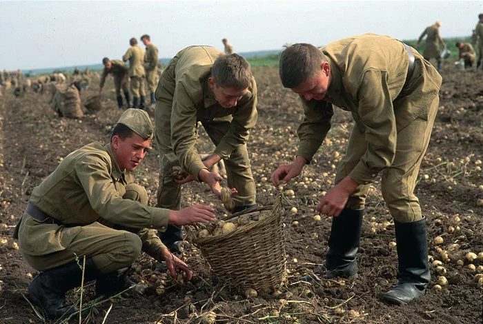 90s, cadets in the fields - My, Longpost, Cadets, Collective farm, Life stories, 90th, Army