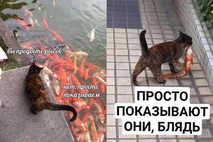 Рутинная жизнь жалкого оживателя тривиальных земель что значит. Смотреть фото Рутинная жизнь жалкого оживателя тривиальных земель что значит. Смотреть картинку Рутинная жизнь жалкого оживателя тривиальных земель что значит. Картинка про Рутинная жизнь жалкого оживателя тривиальных земель что значит. Фото Рутинная жизнь жалкого оживателя тривиальных земель что значит Рутинная жизнь жалкого оживателя тривиальных земель что значит. Смотреть фото Рутинная жизнь жалкого оживателя тривиальных земель что значит. Смотреть картинку Рутинная жизнь жалкого оживателя тривиальных земель что значит. Картинка про Рутинная жизнь жалкого оживателя тривиальных земель что значит. Фото Рутинная жизнь жалкого оживателя тривиальных земель что значит