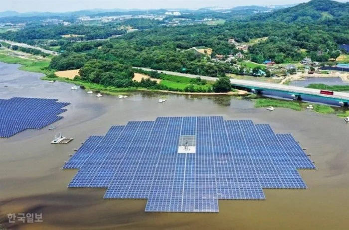 All green energy has been tainted! - Energy, Solar energy, Ecology, South Korea, Longpost, Birds