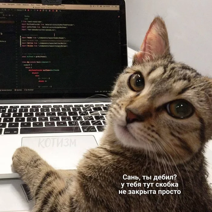 When I was looking for a problem in the code for two days - IT humor, The code, cat