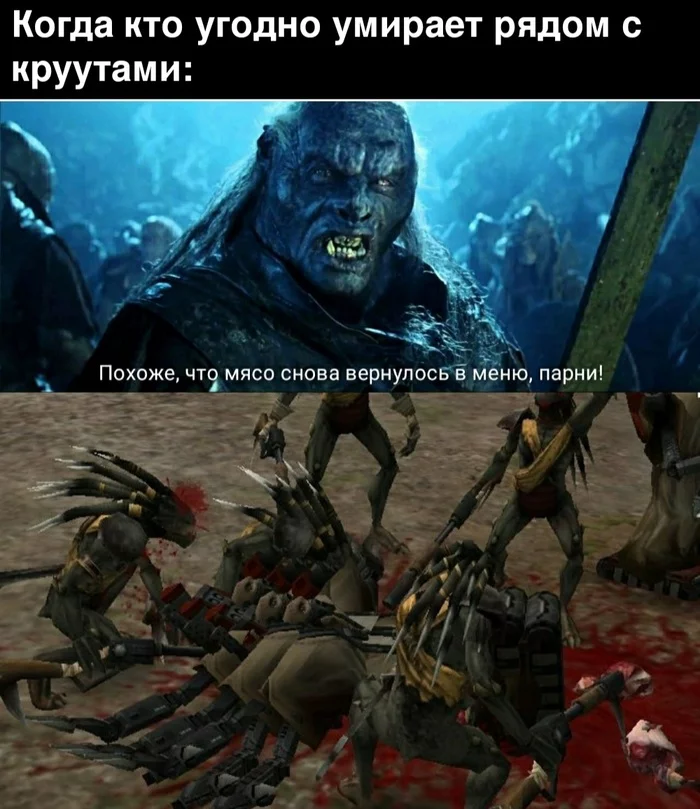 Типичные крууты - Warhammer 40k, Wh Humor, Мемы, Tau, Крууты, Властелин колец, Урук-Хай