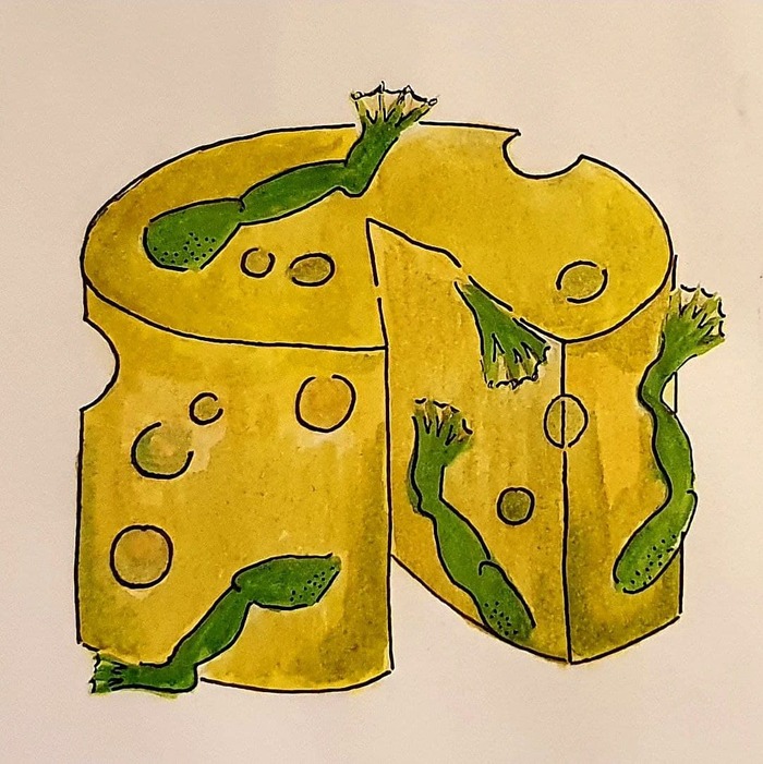 ��� 8. ��� �� ���������� �����